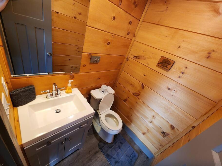 Dancing Bear Cabin- Relax & Enjoy! Sevierville Eksteriør bilde